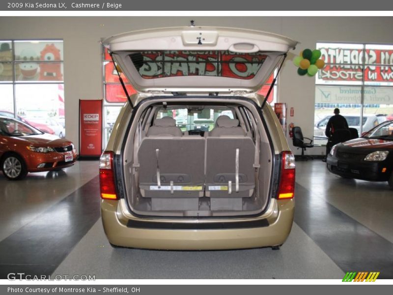 Cashmere / Beige 2009 Kia Sedona LX