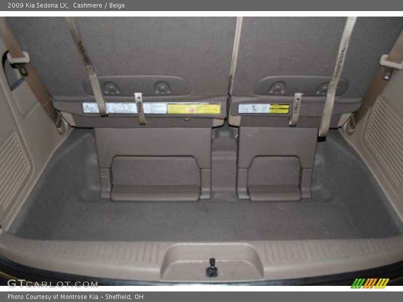 Cashmere / Beige 2009 Kia Sedona LX