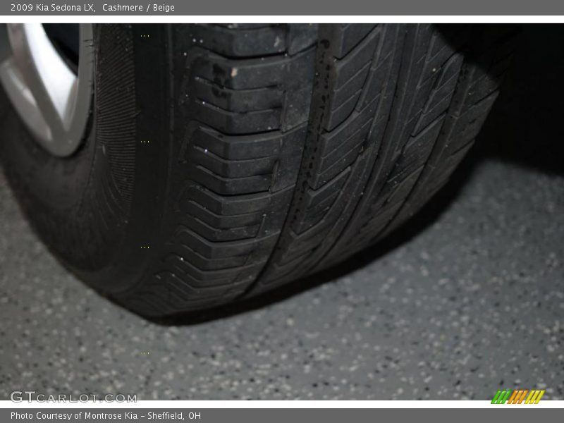 Cashmere / Beige 2009 Kia Sedona LX