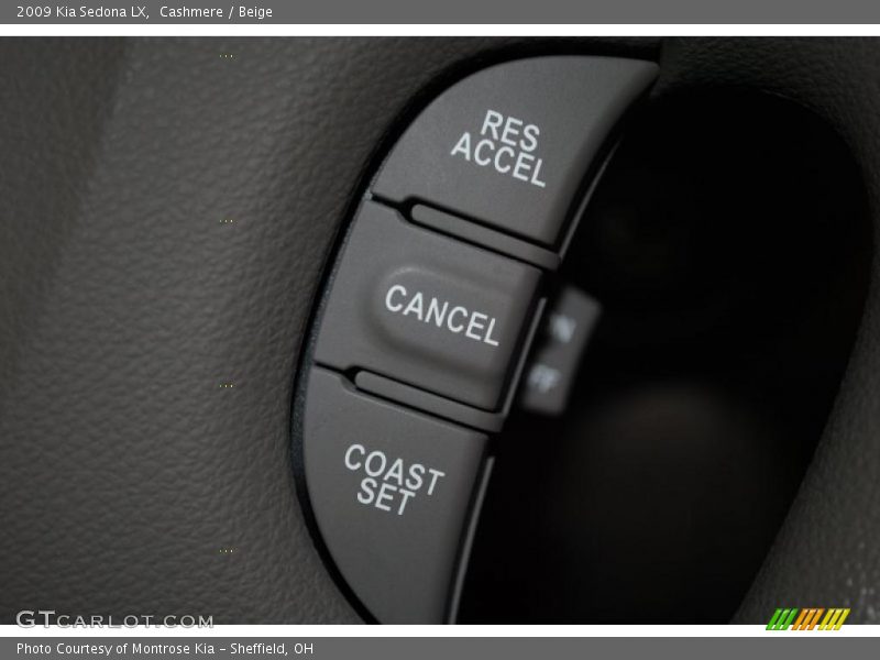 Cashmere / Beige 2009 Kia Sedona LX