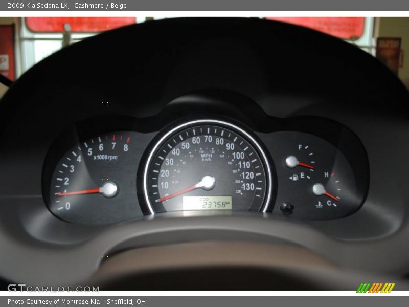 Cashmere / Beige 2009 Kia Sedona LX