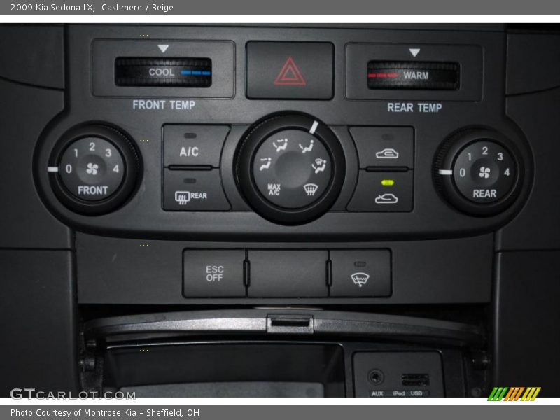 Cashmere / Beige 2009 Kia Sedona LX
