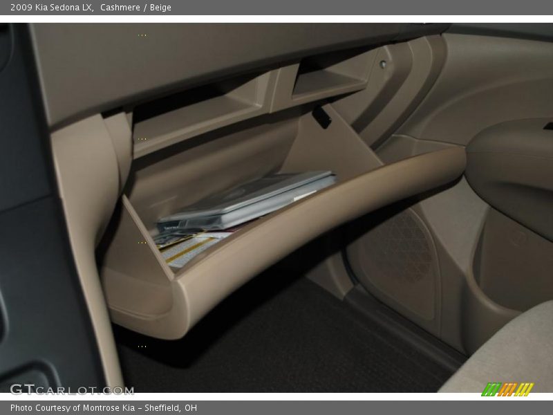 Cashmere / Beige 2009 Kia Sedona LX
