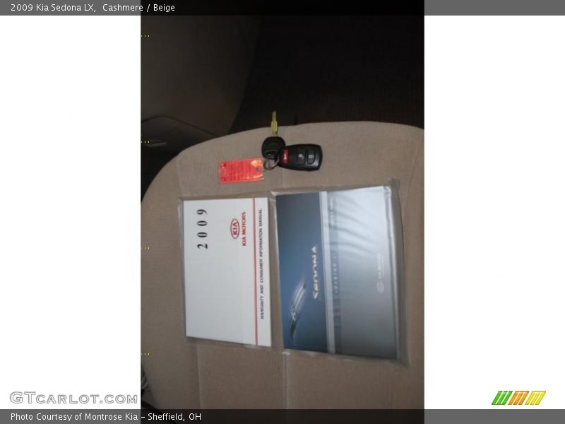 Cashmere / Beige 2009 Kia Sedona LX