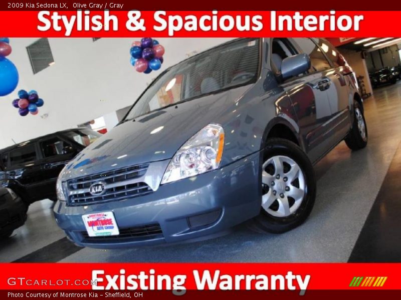 Olive Gray / Gray 2009 Kia Sedona LX