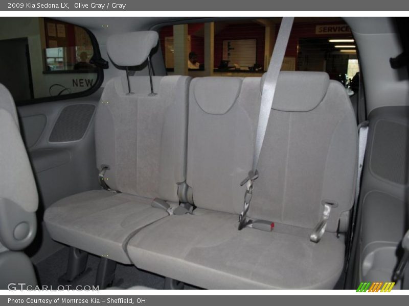 Olive Gray / Gray 2009 Kia Sedona LX