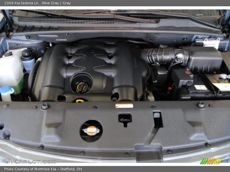 Olive Gray / Gray 2009 Kia Sedona LX