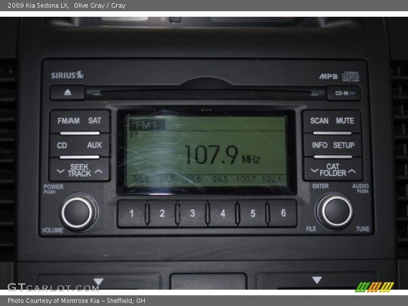 Olive Gray / Gray 2009 Kia Sedona LX