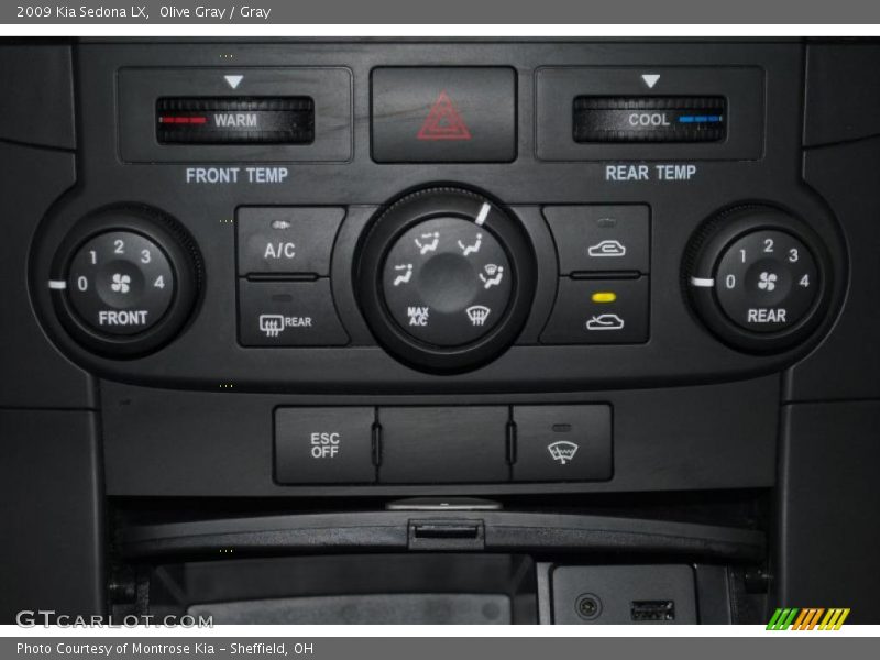 Olive Gray / Gray 2009 Kia Sedona LX