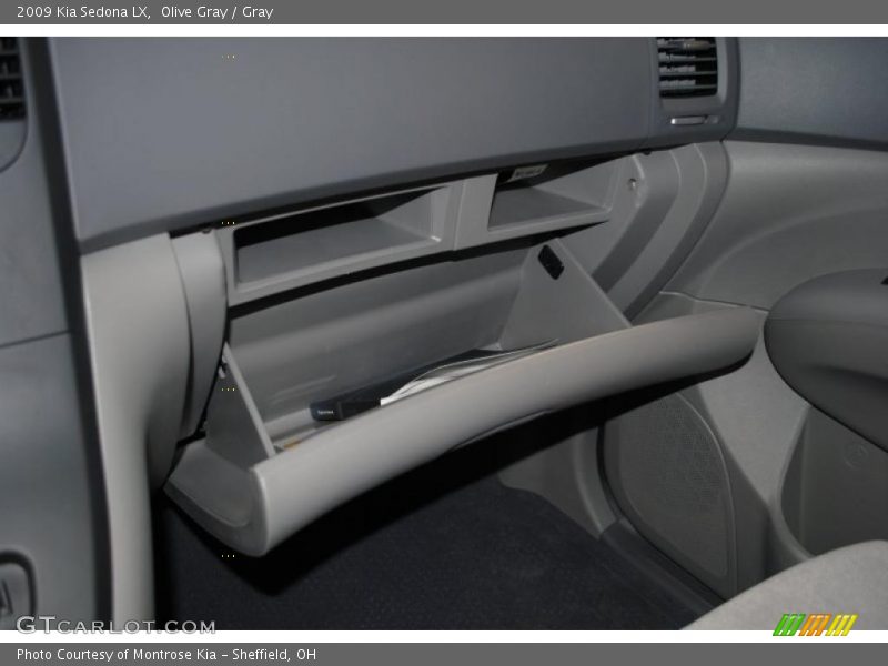 Olive Gray / Gray 2009 Kia Sedona LX