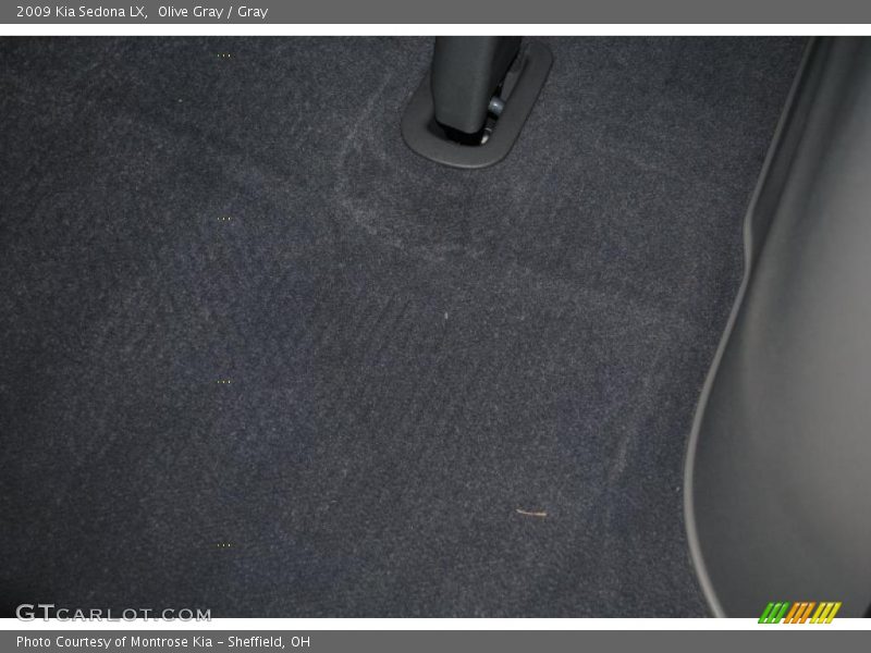 Olive Gray / Gray 2009 Kia Sedona LX