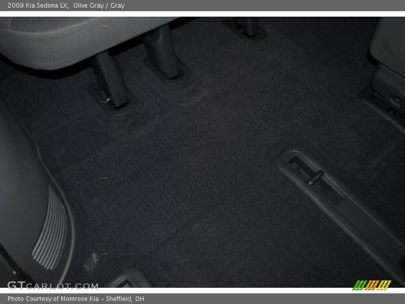 Olive Gray / Gray 2009 Kia Sedona LX