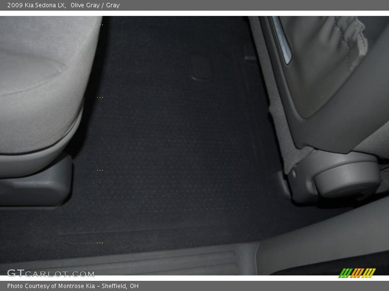Olive Gray / Gray 2009 Kia Sedona LX