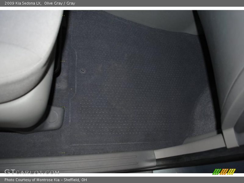 Olive Gray / Gray 2009 Kia Sedona LX
