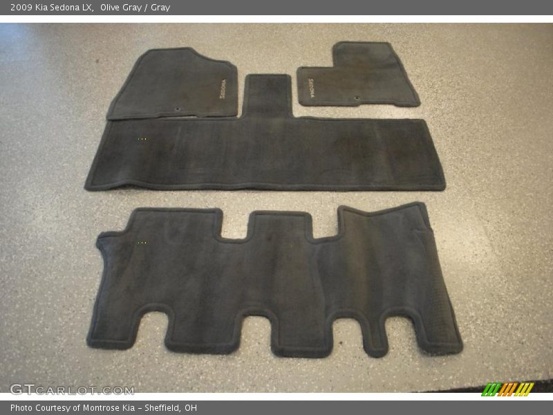 Olive Gray / Gray 2009 Kia Sedona LX