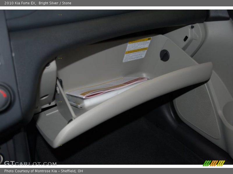 Bright Silver / Stone 2010 Kia Forte EX