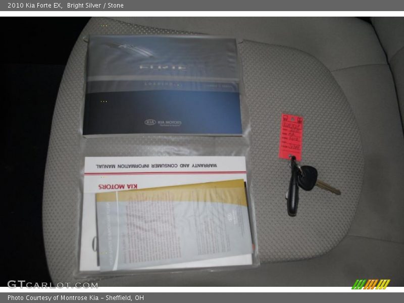 Bright Silver / Stone 2010 Kia Forte EX