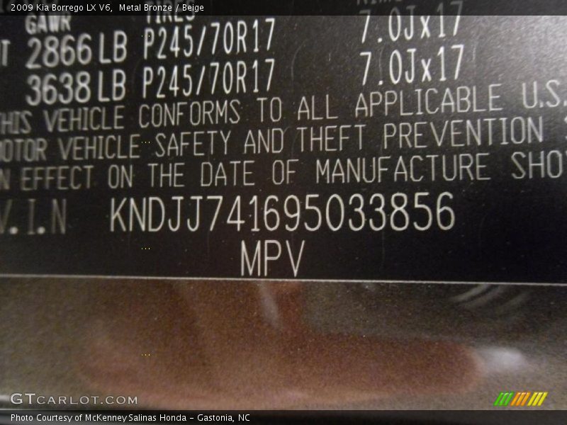 Metal Bronze / Beige 2009 Kia Borrego LX V6