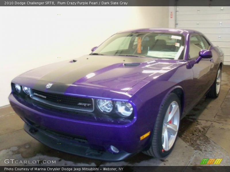 Plum Crazy Purple Pearl / Dark Slate Gray 2010 Dodge Challenger SRT8