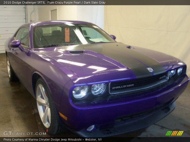 Plum Crazy Purple Pearl / Dark Slate Gray 2010 Dodge Challenger SRT8