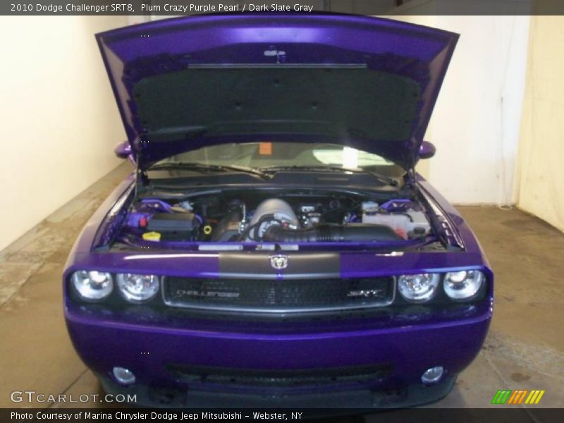 Plum Crazy Purple Pearl / Dark Slate Gray 2010 Dodge Challenger SRT8