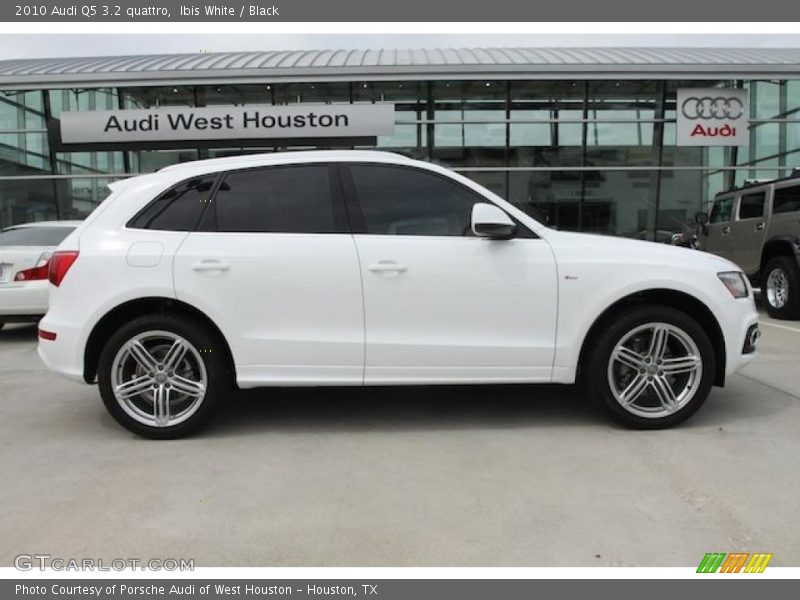 Ibis White / Black 2010 Audi Q5 3.2 quattro