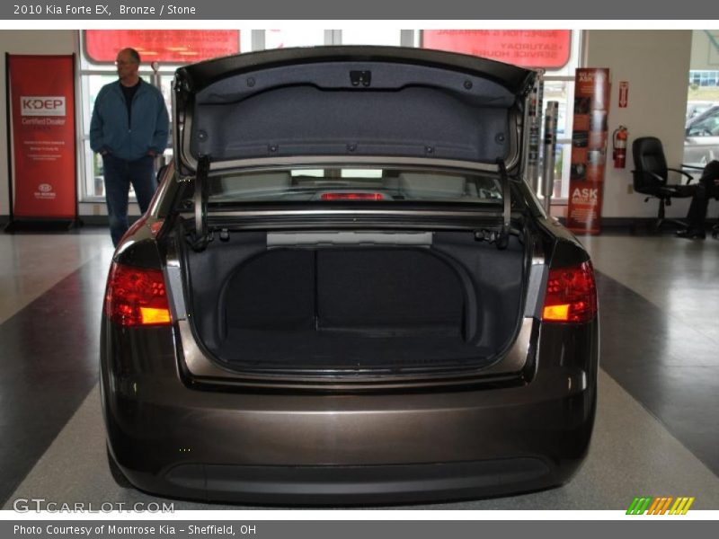 Bronze / Stone 2010 Kia Forte EX