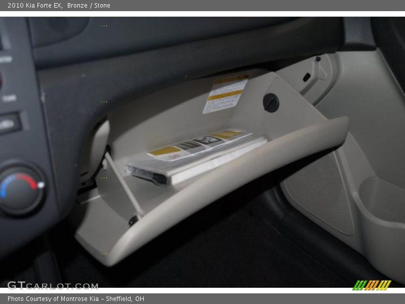 Bronze / Stone 2010 Kia Forte EX