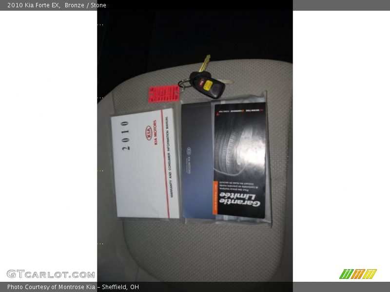 Bronze / Stone 2010 Kia Forte EX