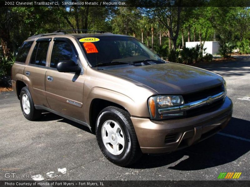 Sandalwood Metallic / Medium Oak 2002 Chevrolet TrailBlazer LS
