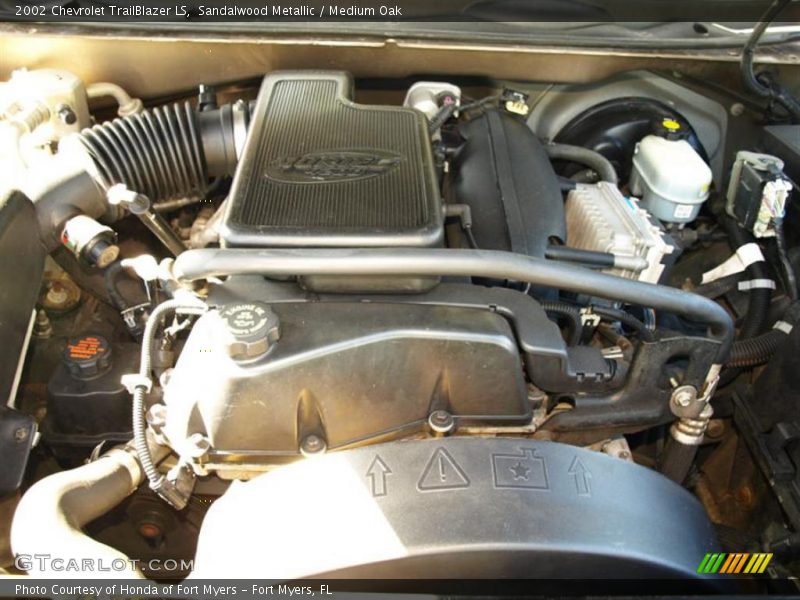 Sandalwood Metallic / Medium Oak 2002 Chevrolet TrailBlazer LS