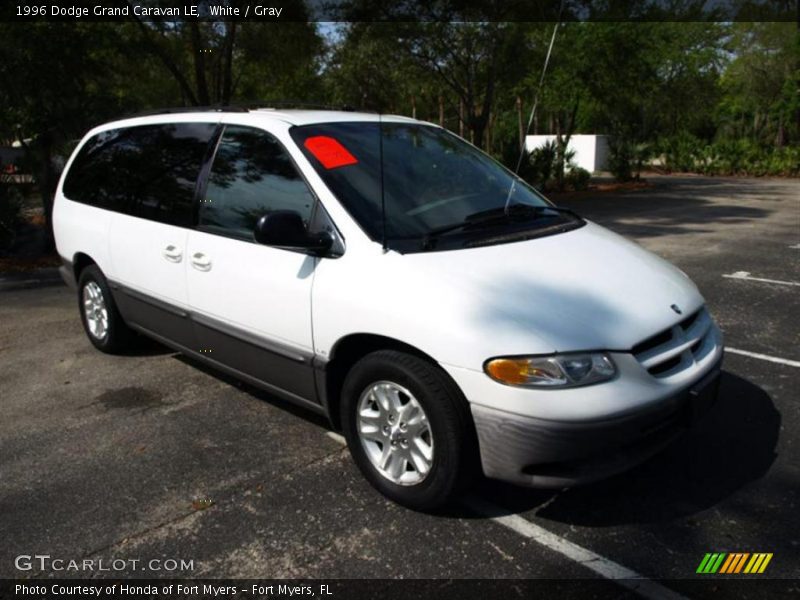 White / Gray 1996 Dodge Grand Caravan LE