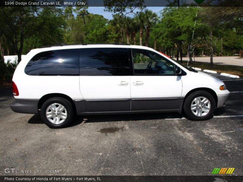 White / Gray 1996 Dodge Grand Caravan LE