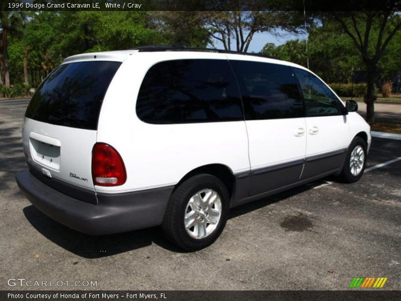 White / Gray 1996 Dodge Grand Caravan LE