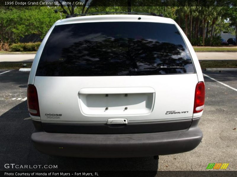 White / Gray 1996 Dodge Grand Caravan LE