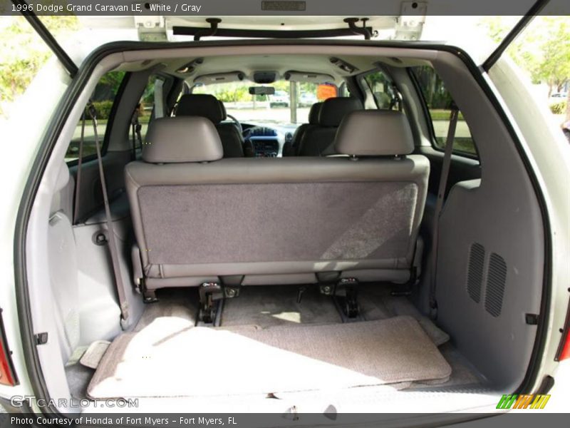 White / Gray 1996 Dodge Grand Caravan LE