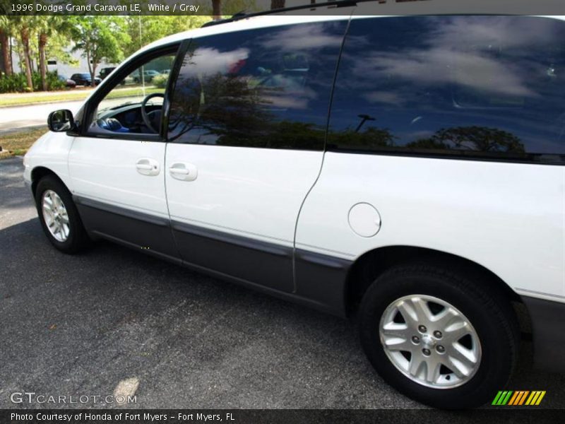 White / Gray 1996 Dodge Grand Caravan LE