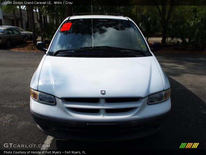 White / Gray 1996 Dodge Grand Caravan LE