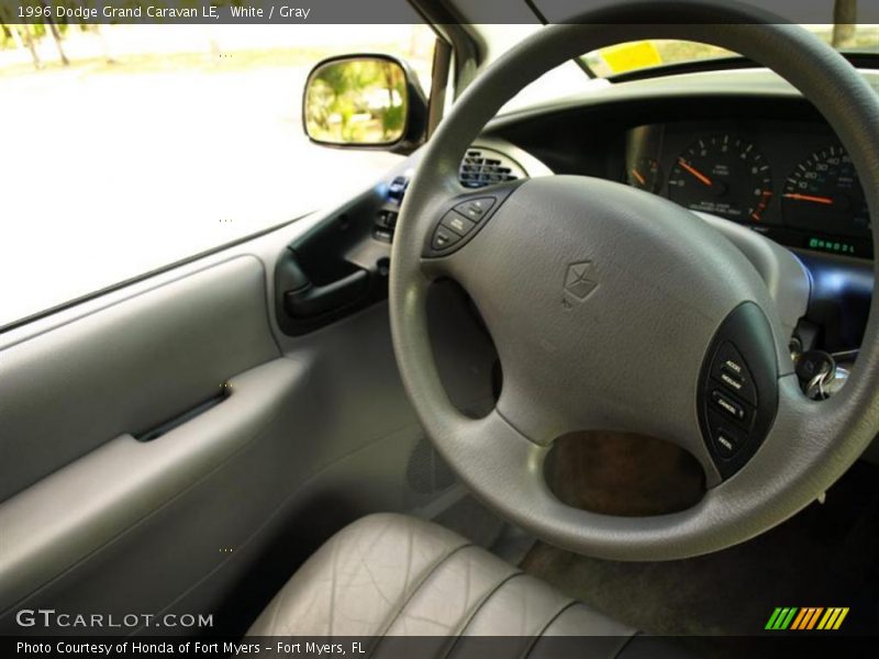 White / Gray 1996 Dodge Grand Caravan LE