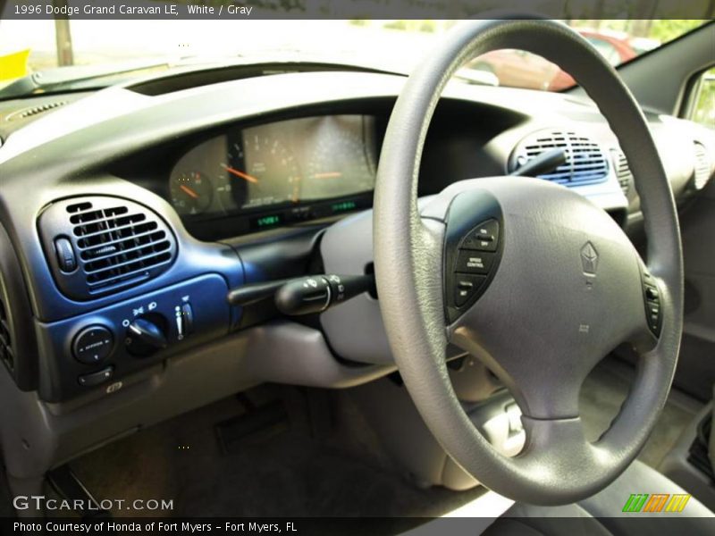 White / Gray 1996 Dodge Grand Caravan LE