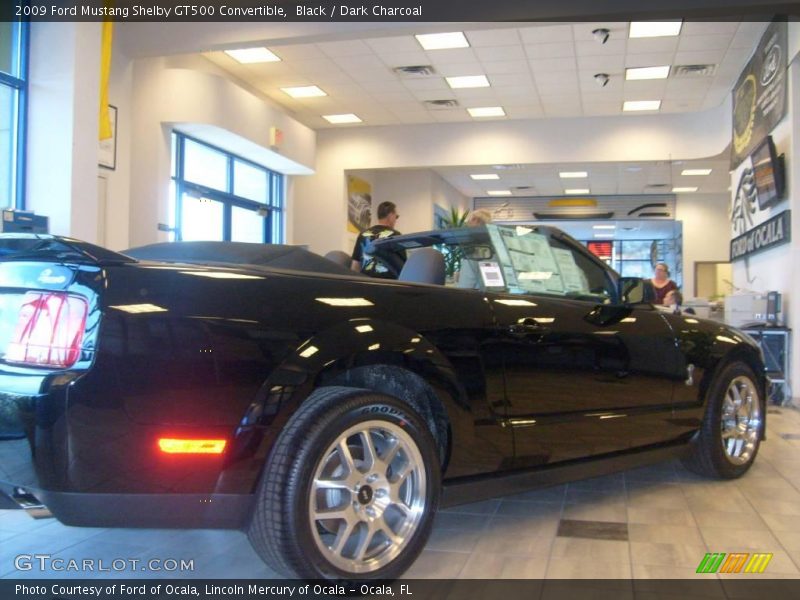 Black / Dark Charcoal 2009 Ford Mustang Shelby GT500 Convertible