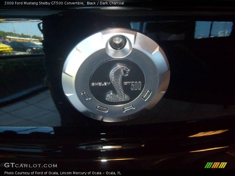  2009 Mustang Shelby GT500 Convertible Logo