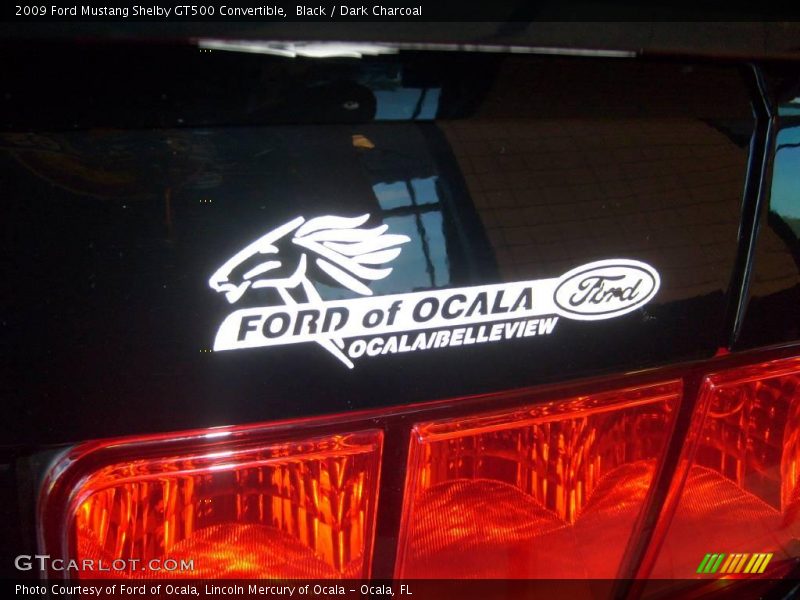 Black / Dark Charcoal 2009 Ford Mustang Shelby GT500 Convertible