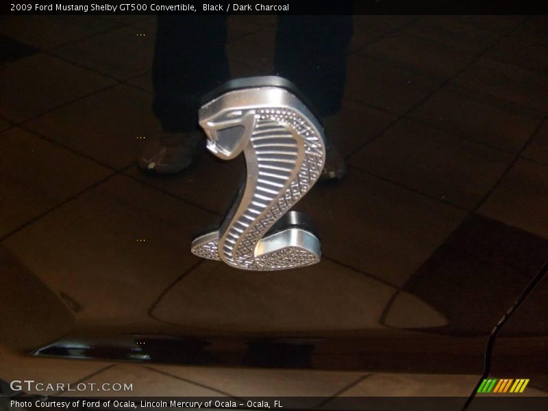  2009 Mustang Shelby GT500 Convertible Logo