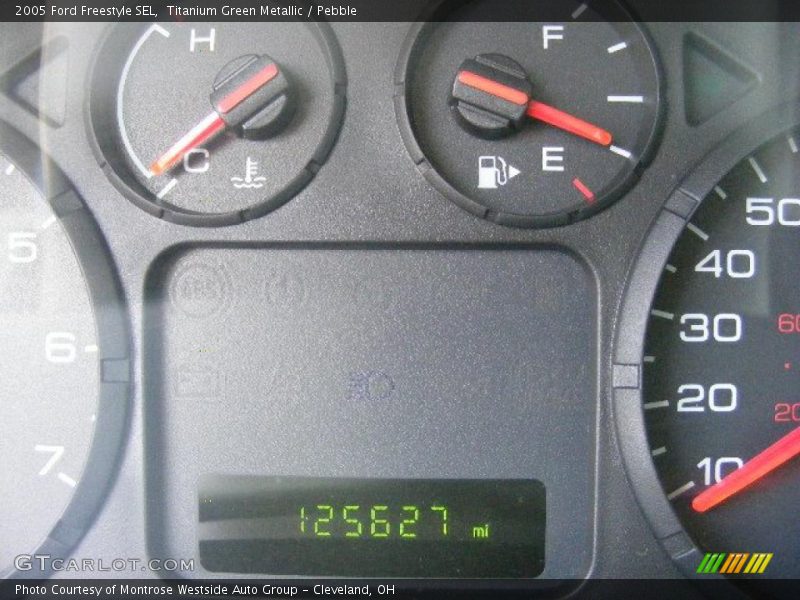 Titanium Green Metallic / Pebble 2005 Ford Freestyle SEL