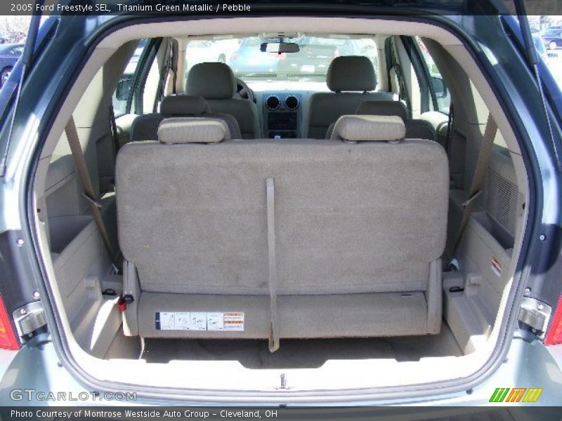 Titanium Green Metallic / Pebble 2005 Ford Freestyle SEL
