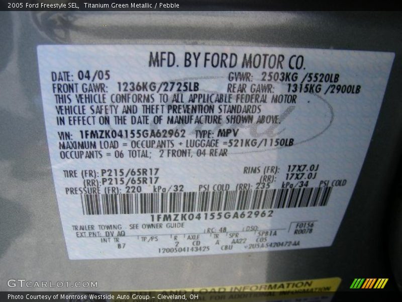 2005 Freestyle SEL Titanium Green Metallic Color Code DV