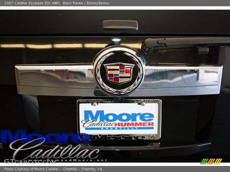 Black Raven / Ebony/Ebony 2007 Cadillac Escalade ESV AWD