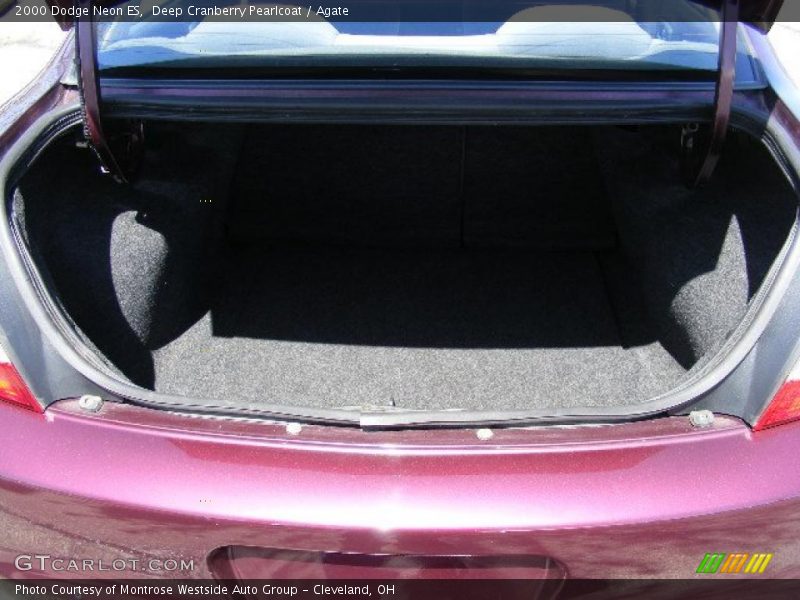 Deep Cranberry Pearlcoat / Agate 2000 Dodge Neon ES