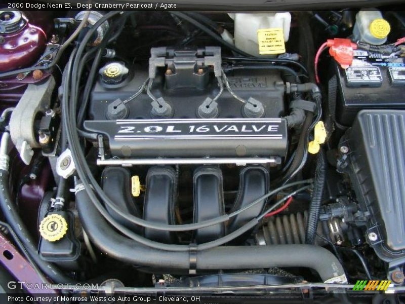 Deep Cranberry Pearlcoat / Agate 2000 Dodge Neon ES